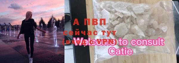 хмурый Долгопрудный