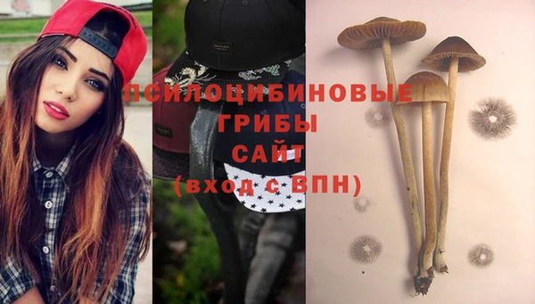 СК Наволоки