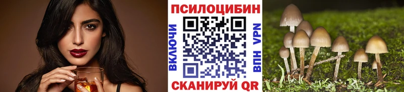 Галлюциногенные грибы мицелий наркота Венёв